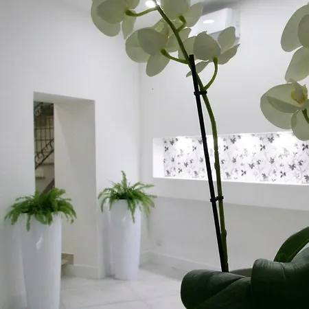 Terrazza San Marco Bed and breakfast Cassino